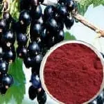 black-currant-extract